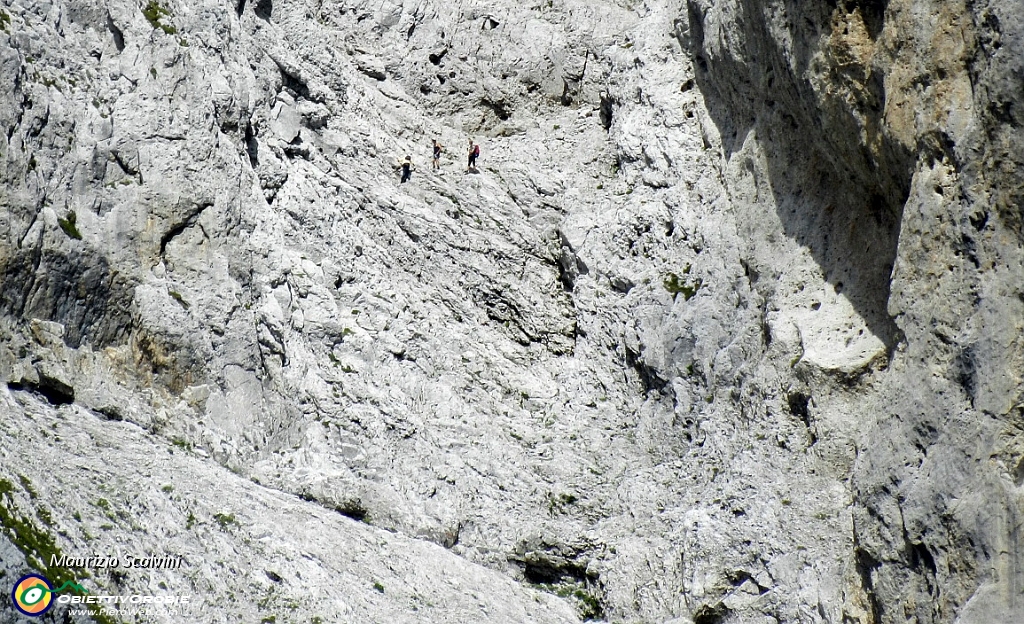 27 Pizzo della Presolana. Zoom sulla paretina centrale..JPG